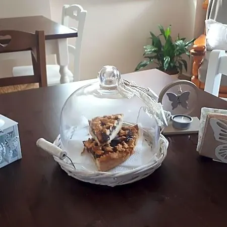 Bed & Breakfast Butterfly San Lorenzo (Latina)